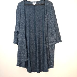 NWT Blue Sweater Loose Cardigan
